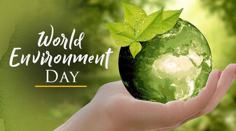 World Environment Day: Why It Matters and How You Can Take Part - Purafy  Clean Technologies